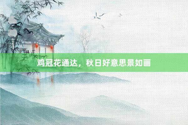 鸡冠花通达，秋日好意思景如画