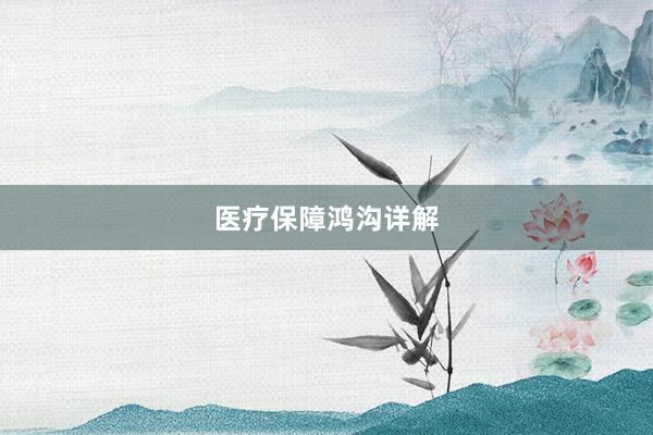 医疗保障鸿沟详解